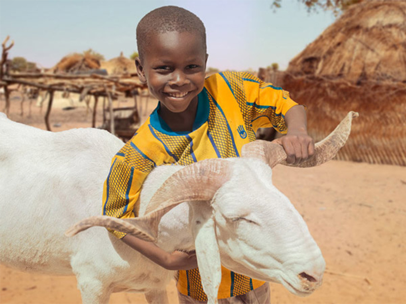 Şükür Kurbanı (Küçükbaş) (Afrika)